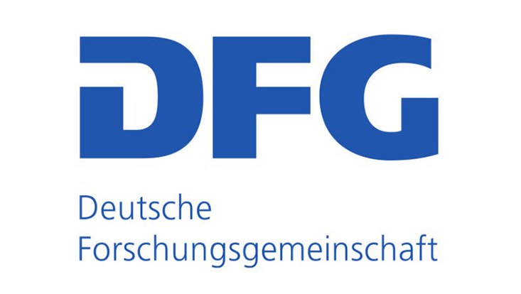 logo-dfg.jpeg